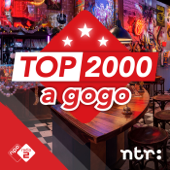 Top 2000 a gogo - NPO Radio 2 / NTR