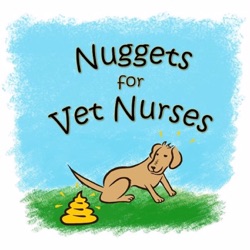 Nuggets for Vet Nurses