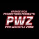 Pro Wrestling Wire Radio