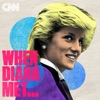 When Diana Met… artwork