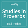 Studies in Proverbs - Paul Washer