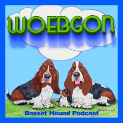 Getting Our First Champion (Buddy's Story Part 1) - Bassets Eating Habits -- Episode 6