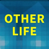 Artificial Intelligence, Dogecoin, Arranged Marriages - Other Life