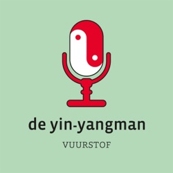 #1 Waarom de yin-yangman?