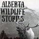 Ep#56: Keith Ward: Northern Elk