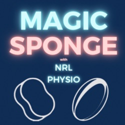 The Magic Sponge - NRL Opening weekend in Las Vegas