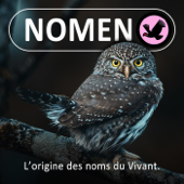 Nomen (Baleine sous Grav... Étymologie) - Marc Mortelmans