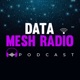 #304 Getting Your Data Mesh Journey Moving Forward - Interview w/ Chris Ford and Arne Lapõnin