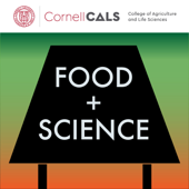 Food + Science - Valpuri Sovero