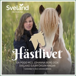 Hästlivet 