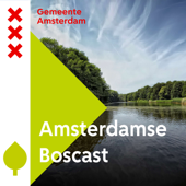Amsterdamse Boscast - Gemeente Amsterdam