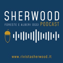 Pillole forestali dall’Italia #30 - Politiche forestali in cammino e altre notizie di dicembre