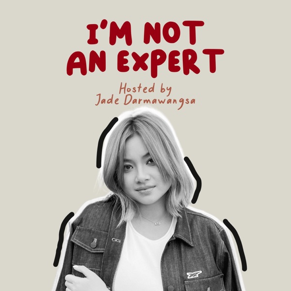 I'm Not An Expert
