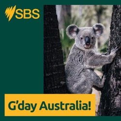 G'day Australia in Indonesian - G'day Australia dalam Bahasa Indonesia