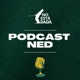 #10 Podcast NED con Ricardo Ramírez Calvo : REGLAS de GOLF MASTERCLASS. Árbitro en The Open. Consejos p/ amateurs y p/ clubes. Casos polémicos. Juego lento y mucho más...Imperdible!