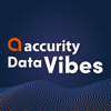 Accurity Data Vibes - Petr Mahdalicek