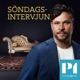 Stig Larsson – ifrånsprungen av tiden