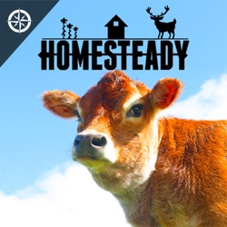 7 CHEAP OFF-GRID HOME OPTIONS for Your Homestead - Podcast Episode 122