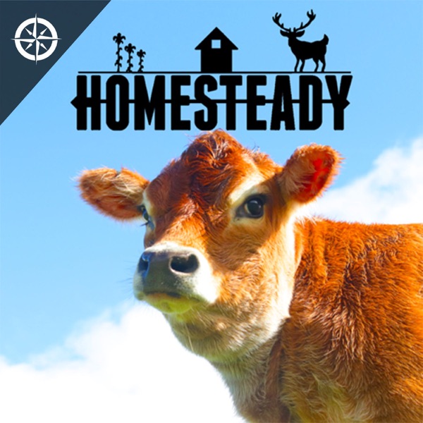Homesteady - Stories of Living off the Land