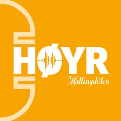 Val 2023 - Hol: Brems eller gass på hyttebygginga?