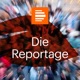 Verantwortung ungeklärt - Die Berliner Verwaltung und der Kampf ums Stadtbeet