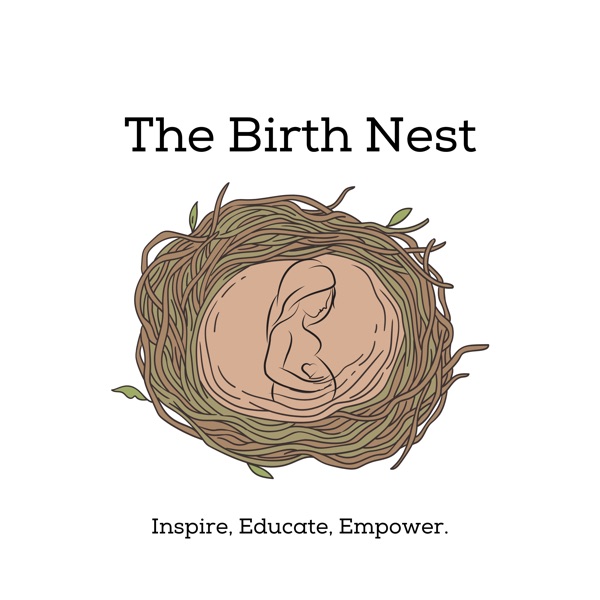 Artwork for The Birth Nest