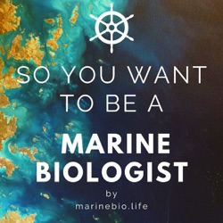 90. Chris Maingot: Waves under Waves, Physical Oceanography, Working Offshore, and Ocean Engineering