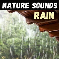 Nature Sounds - Rain