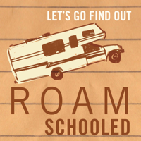 Episode 10:  Roam Springer Luddite