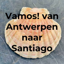 Vamos! van Antwerpen naar Santiago - Harry Demey op pad met Bart De Clerck
