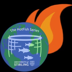 Introducing the HotFish Podcast Series