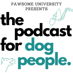 Enrichment Ideas & Addressing Obsessive Play Behavior in Dogs