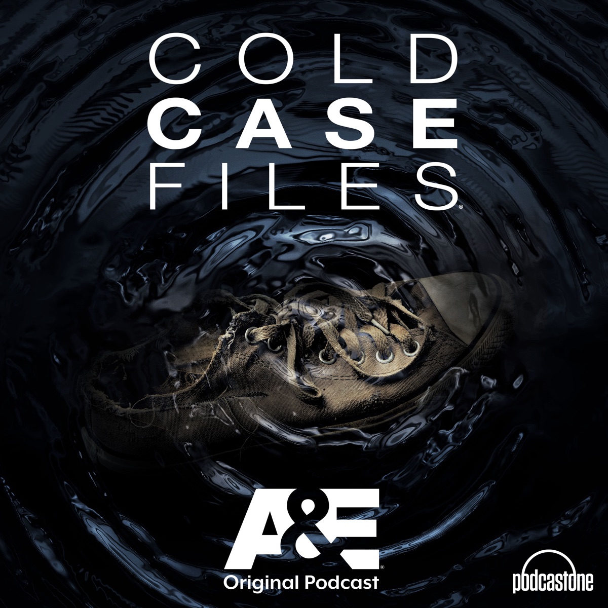 I SURVIVED The Ninja in the Attic Cold Case Files Podcast Podtail