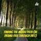 Finding the Middle Path (Be Drama Free Through DBT!) 