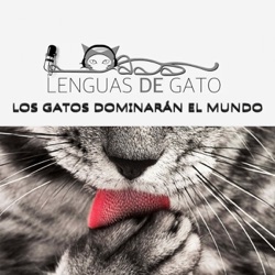 Ep 15. Pancho Varona nos habla de sus gatos. Proyecto Mayores y mininos. Detrás de una gran mujer hay un gran gato