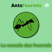 AntsFourmis - Le monde des Fourmis - AntsFourmis