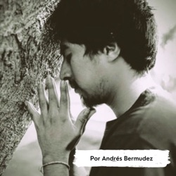 Profundiza con Andrés Bermúdez 