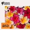 SBS Lao - SBS ພາ​ສາ​ລາວ