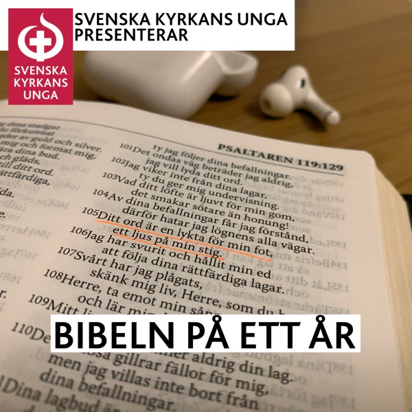 Bibeln på ett år