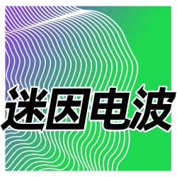 058. 网红路牌、字体迷因与大众民主