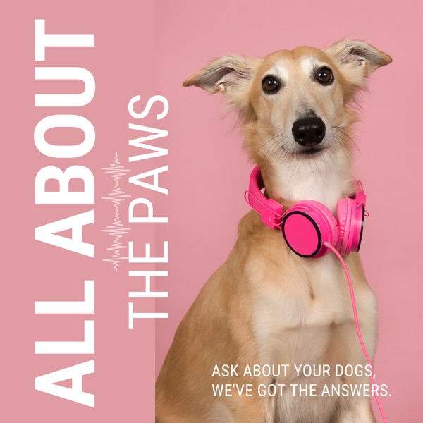 All About the Paws Image