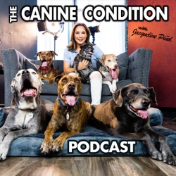 The Canine Condition
