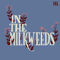 In The Milkweeds