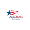 China Voices: The AmCham Shanghai Podcast artwork