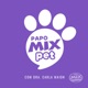 Papo Mix - Pet