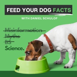 Do Dogs Need Carbs? The Evidence