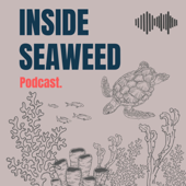 Inside Seaweed - Fed DeGobbi