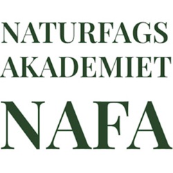 NAFA Dialog - Stefan Hermann, om naturfaglig dannelse