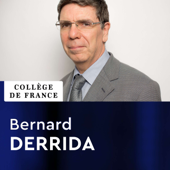 Physique statistique - Bernard Derrida - Collège de France