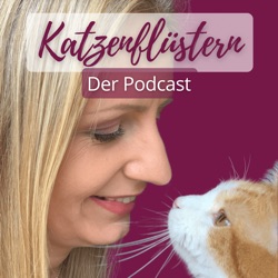 #49 Wie deine Gefühle deine Katze beeinflussen